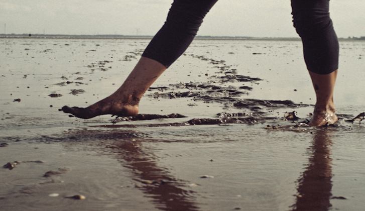 Wattenmeer. Photo © Luise Müller-Hofstede www.luise.carbonmade.com